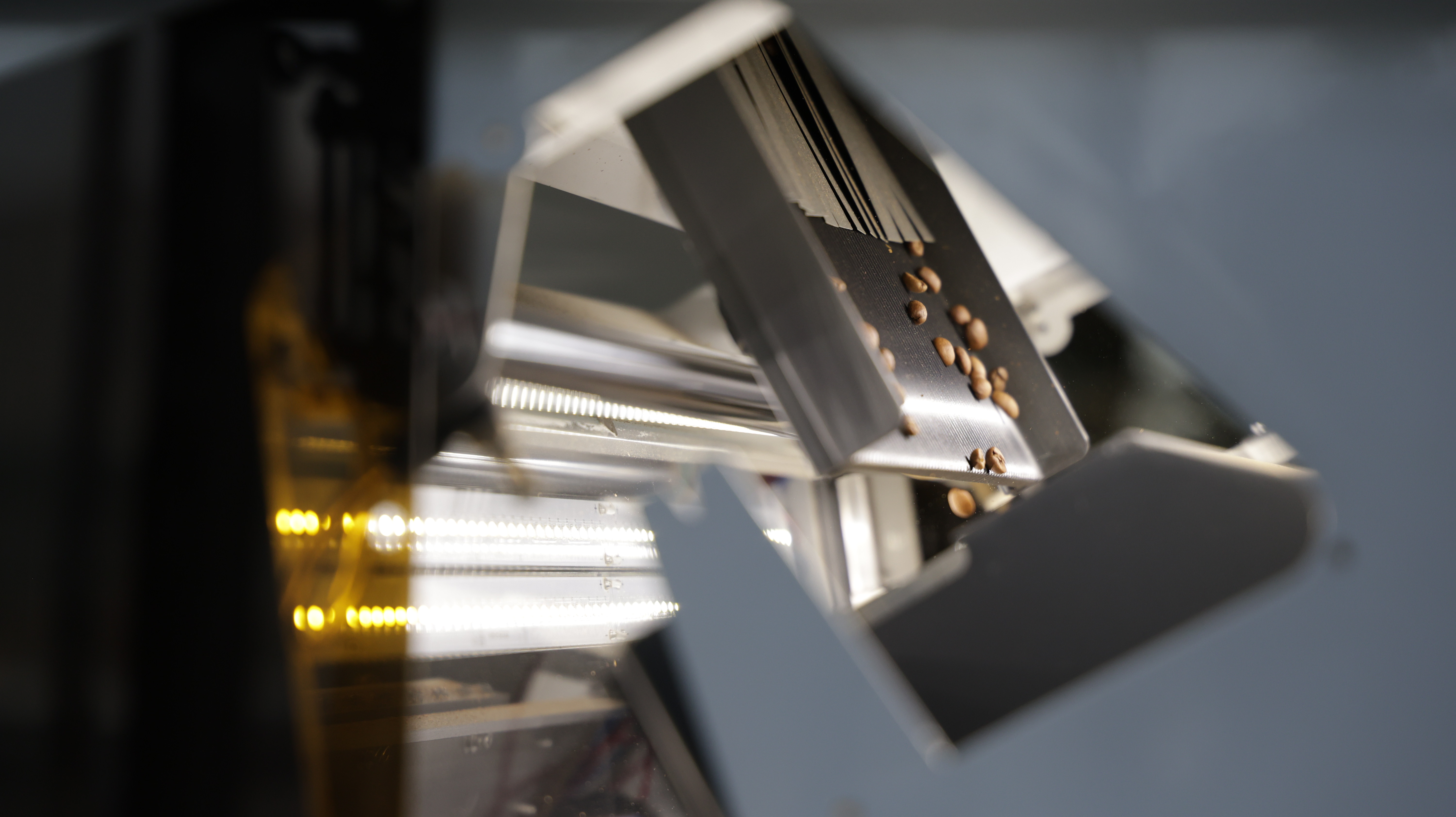 التنقية والفرز البصري